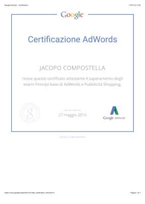 Google Adwords Shopping.pdf