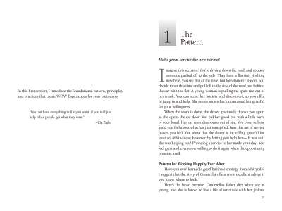 pattern of excellence.pdf