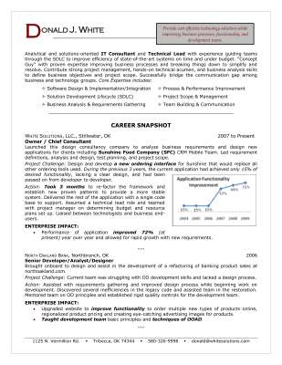 Sample - IT Chief Consultant, Developer, Technical Lead.pdf