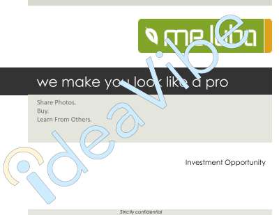 Mejuba Executive Summary ex.pdf