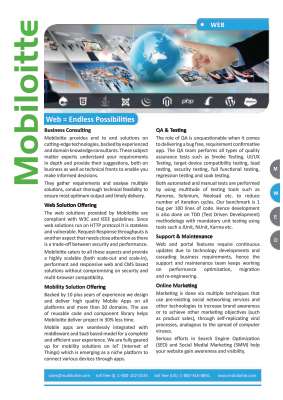 web-applications-brouchure.pdf