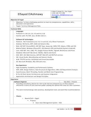 ElSayed_ElAshmawy_CV.pdf