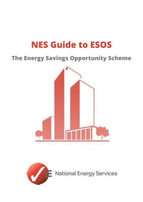 NES Guide to ESOS (3).pdf