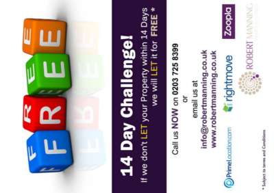 flyers and Mailer.pdf