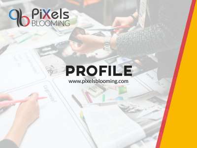 pixels_blooming_profile.pdf