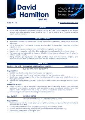 David Hamilton - CV 10919.pdf