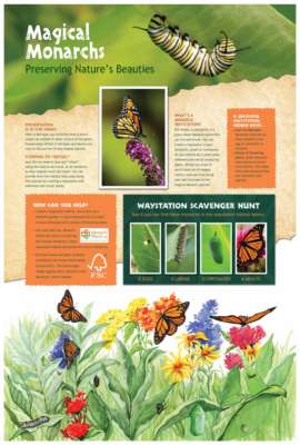 MAGICAL MONARCHS.pdf