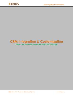 CRM-Integration-Customization.pdf