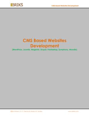 CMS-Based-Websites-Development.pdf
