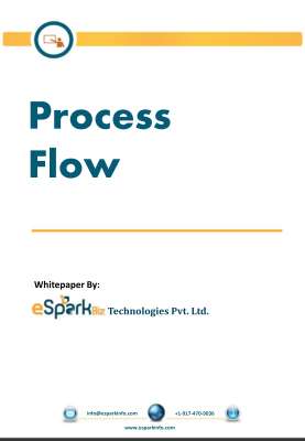 eSparkBiz_Web development_Process.pdf