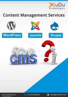 Content Management System.pdf