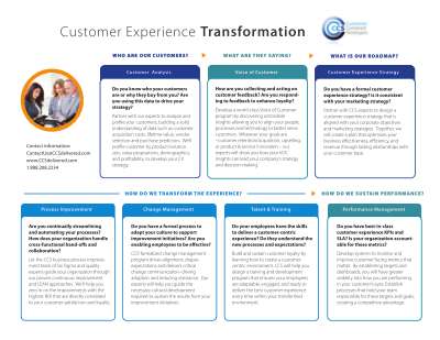 CCS_Sell_Sheet_SIDE_2 (2).pdf