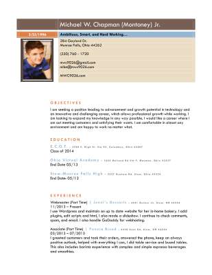 Michael_Chapman_Resume.pdf