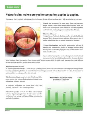 DDCOMarketingFlier.pdf