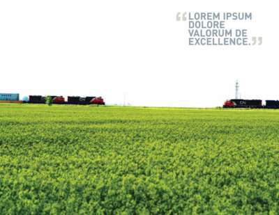 CN Calendar June2013_SHabib.pdf