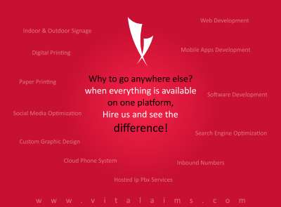 Vital AIMS 2014 Profile.pdf