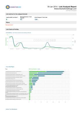 backlinkanalysis-report - 2014-01-05 00-51.pdf