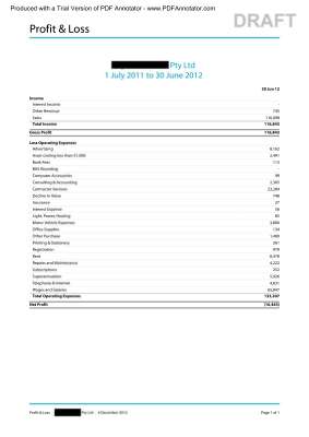 XERO_Profit_and_Loss_Report.pdf