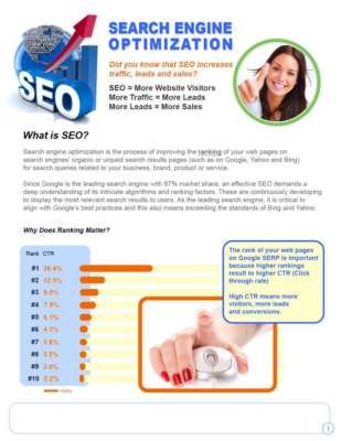 SEO Brochure.pdf
