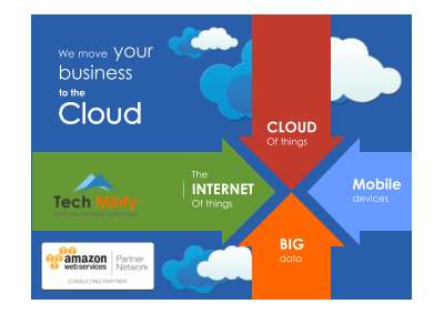 TechMinfy_Services_Offerings.pdf