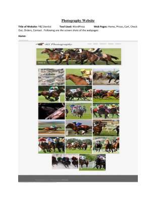 Photography Website.pdf