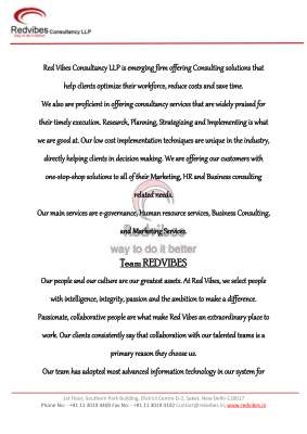 red_vibes_consultancy_V_3.0.pdf