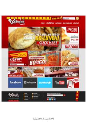 Bojangles_HomepageConcept.pdf