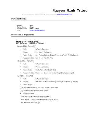CV_NguyenMinhTriet.pdf