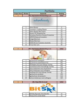 Portfolio with Rank.pdf
