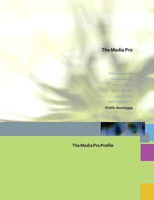 The Media Pro Profile.pdf