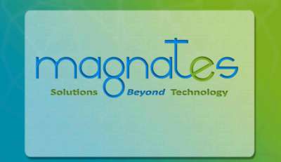 Magnates-profile.pdf