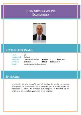Nicolas Molina Cv.pdf