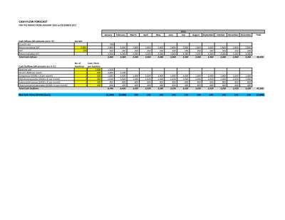 Cash Flow Forecast (Construction)...pdf