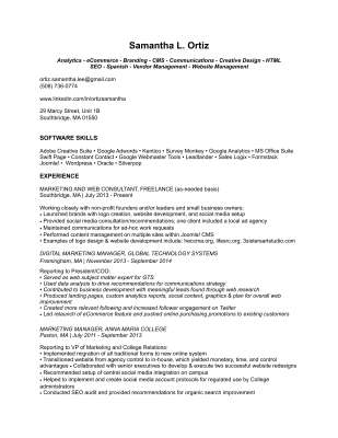 SOrtiz_DigitalProfessional.pdf