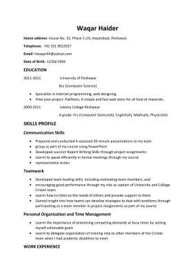 Waqar Haidercv.pdf