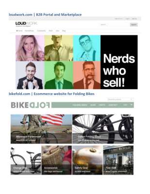 Web Portfolio (WP Ecommerce).pdf