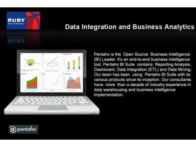 Ruby_Software_BI_Projects Ver1.0.pdf