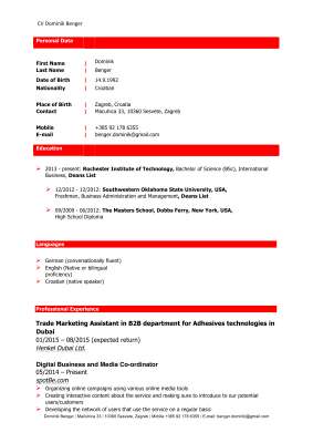 Dominik Benger - CV.pdf