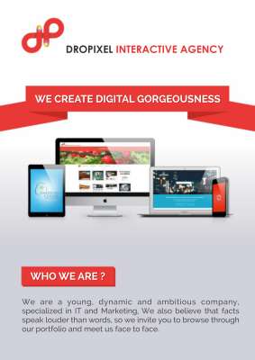 Company Profile-Dropixel-2015.pdf