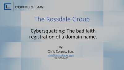 SEM - Cybersquatting - The Rossdale Group (2016-06-13 Final).pdf