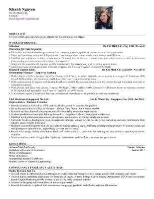 Khanh N. Nguyen's CV - Freelance.pdf