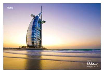 Waqas Amin-Profile Small.pdf