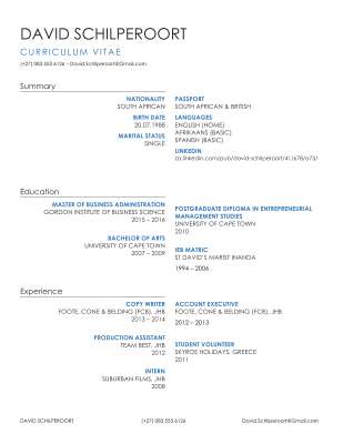 CV_David Schilperoort_2015.pdf