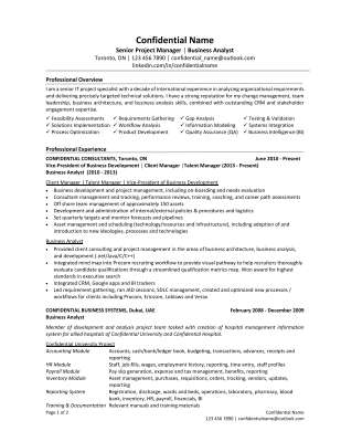 Senior Project Manager Consultant Business Analyst IT.pdf