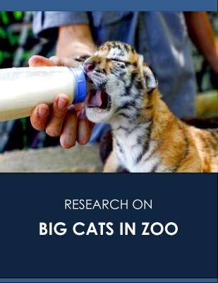 Research_Big Cats_Zoo Environment.pdf