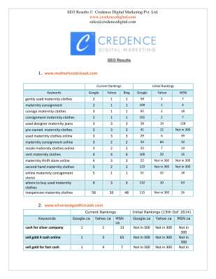 SEO Client Report.pdf