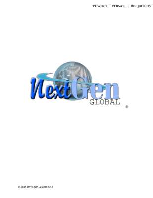 The Data Ninja Guide - NextGen Global.pdf