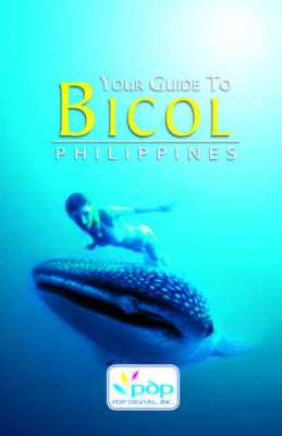 sample work_guidebook.pdf