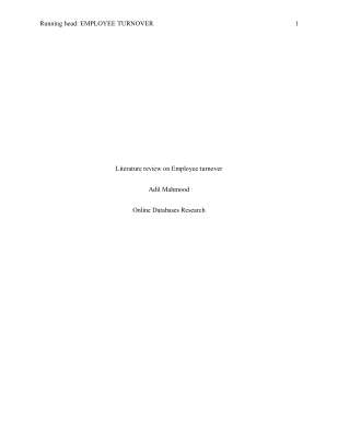Literature review.pdf