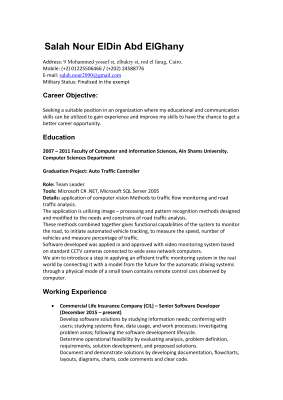 Salah Nour Eldin CV.pdf